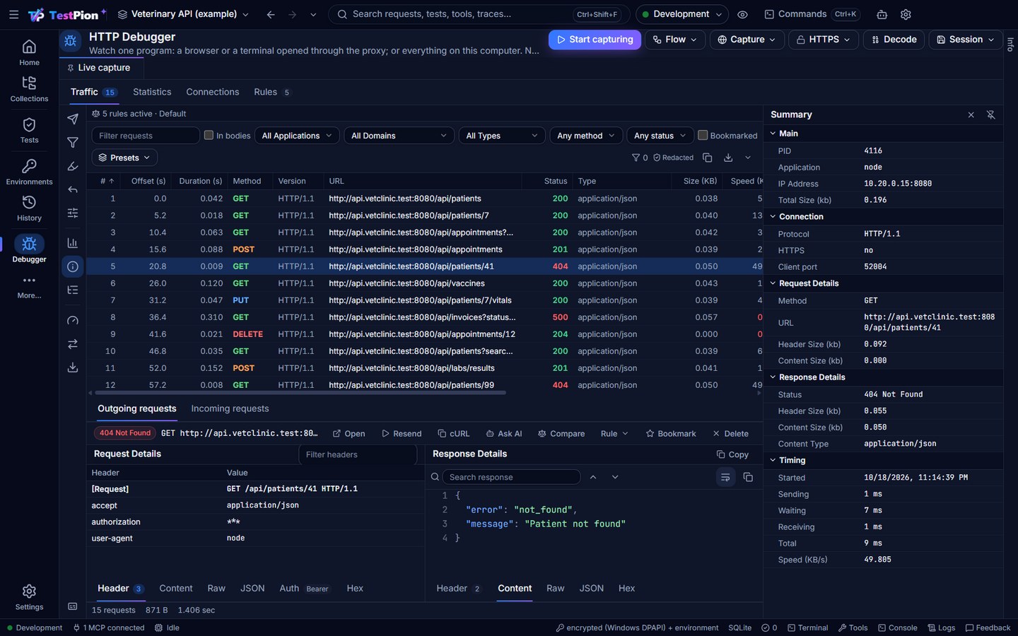 The HTTP Debugger: a tool rail, a grid of captured requests with application, domain and IP address, a 404 with its request and response side by side, and the Summary panel